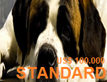 isis-standard