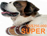 isis-super