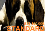 isis-standard