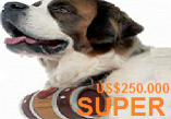 isis-super